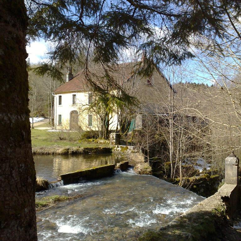 Au Moulin Des Fees - Maison D'Hotes Cascades Du Herisson Bonlieu Eksteriør billede