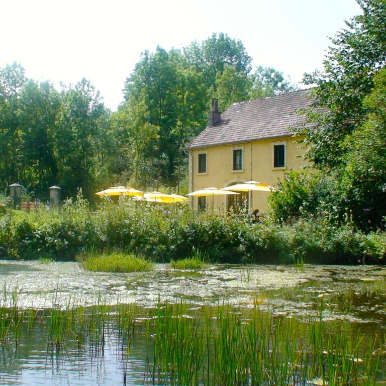 Au Moulin Des Fees - Maison D'Hotes Cascades Du Herisson Bonlieu Eksteriør billede