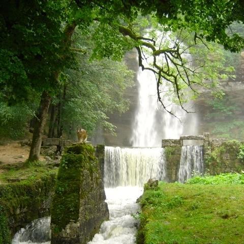 Au Moulin Des Fees - Maison D'Hotes Cascades Du Herisson Bonlieu Eksteriør billede